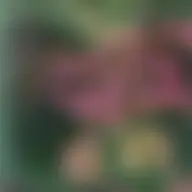 Avatar for Artist 138