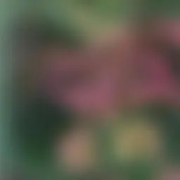 Avatar for Artist 138