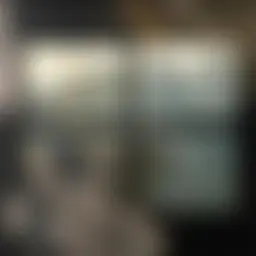 Avatar for Artist 542