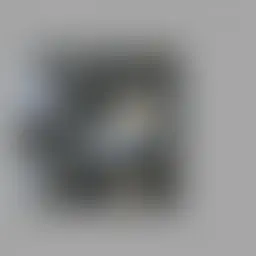 Avatar for Florencia Sporer