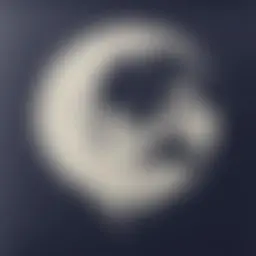 Avatar for Artist 440
