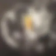 Avatar for Artist 145