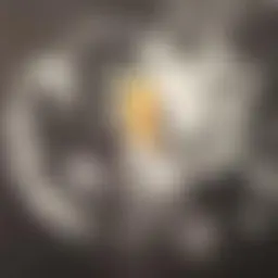 Avatar for Artist 145