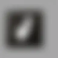 Avatar for Suellen Hansen