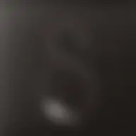 Avatar for Artist 635
