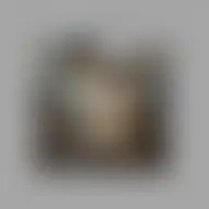 Avatar for Wilford McClure