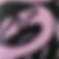 Avatar for Artist 462