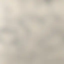 Avatar for Artist 359