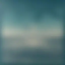 Avatar for Artist 441