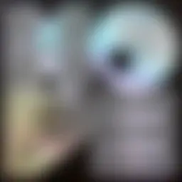 Avatar for Artist 368