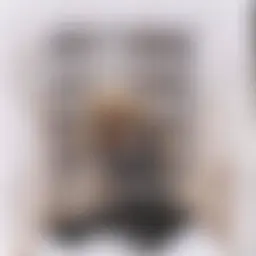 Avatar for Artist 185