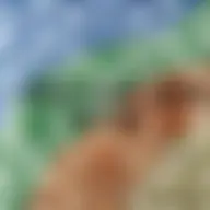 Avatar for Artist 325