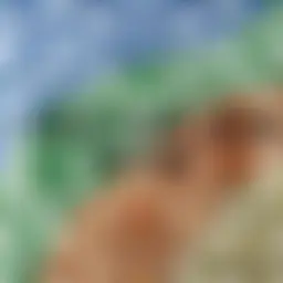 Avatar for Artist 325