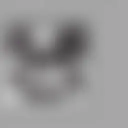 Avatar for Curt Reichert