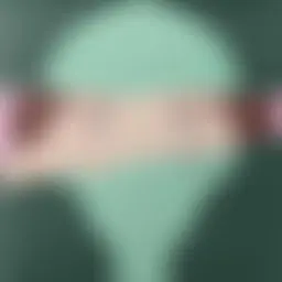 Avatar for Artist 444