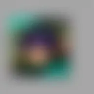 Avatar for Kiley Bashirian
