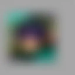 Avatar for Kiley Bashirian