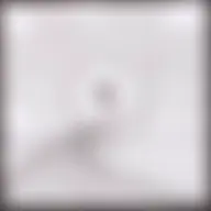 Avatar for Artist 222