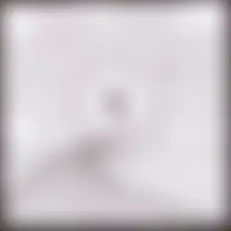 Avatar for Artist 222