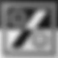 Avatar for Artist 385