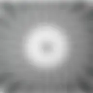 Avatar for Artist 205