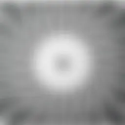 Avatar for Artist 205
