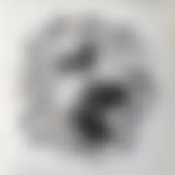 Avatar for Artist 408