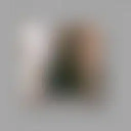 Avatar for Charmaine Ernser