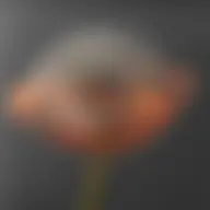 Avatar for Artist 571