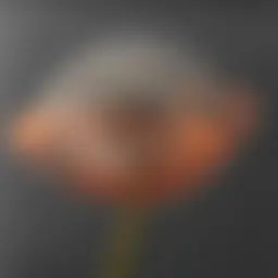 Avatar for Artist 571