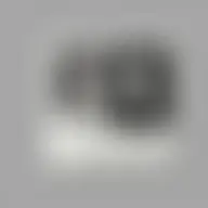 Avatar for Xzbdulia Turcotte