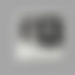 Avatar for Xzbdulia Turcotte