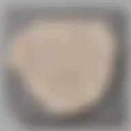 Avatar for Artist 430