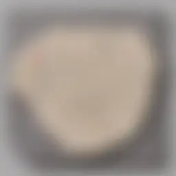 Avatar for Artist 430