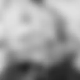 Avatar for Artist 629
