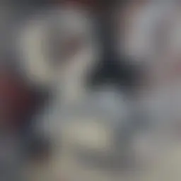 Avatar for Artist 494
