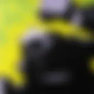 Avatar for Artist 343