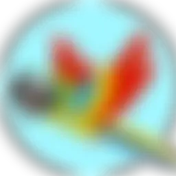 Avatar for Artist 216