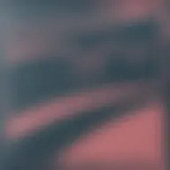Avatar for Artist 456