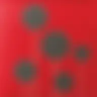 Avatar for Artist 055
