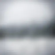 Avatar for Artist 559
