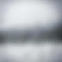 Avatar for Artist 559