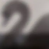 Avatar for Artist 004