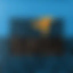 Avatar for Artist 181