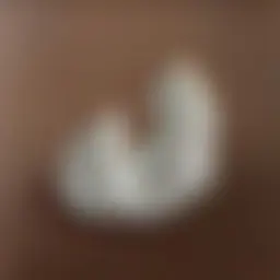 Avatar for Artist 389