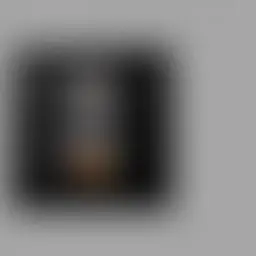 Avatar for Artist 012