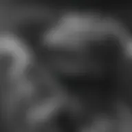 Avatar for Artist 136