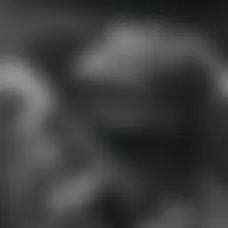 Avatar for Artist 136