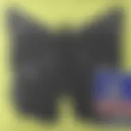 Avatar for Artist 095