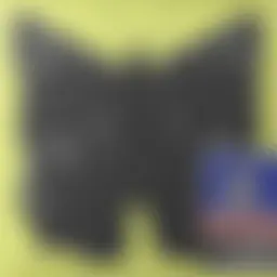 Avatar for Artist 095